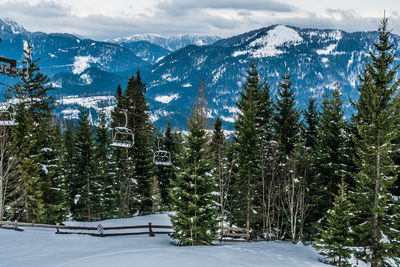 Trees on snow covered field against mountains