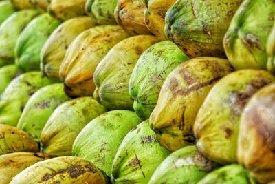 Full frame shot of coconuts