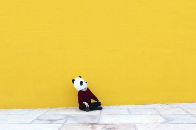 Toy sitting on yellow wall
