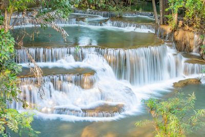 Scenic view of waterfall in forest