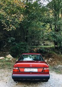 Red vintage car on street in forest