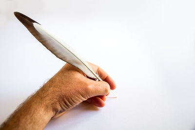 Close-up of hand holding paper over white background