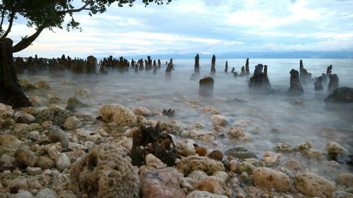 Scenic view of sea against sky