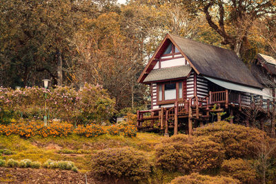 Plants and trees by house during autumn
