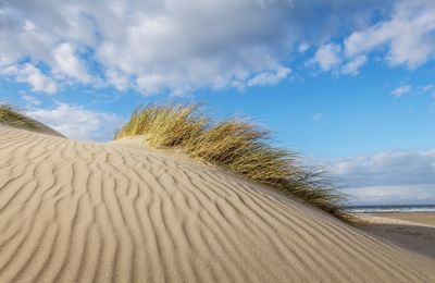 Scenic view of sand dunes against sky