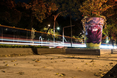 Young woman against illuminated trees at night