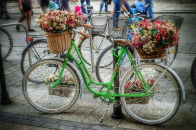 Plants growing in front of wall