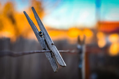 Close-up of barbed wire