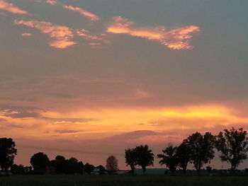 Silhouette of trees at sunset