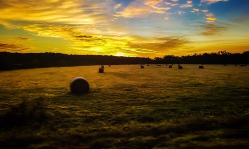 Scenic view of field against sky during sunset