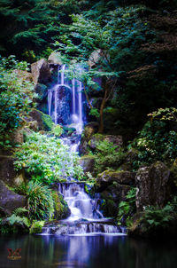 Waterfall in forest