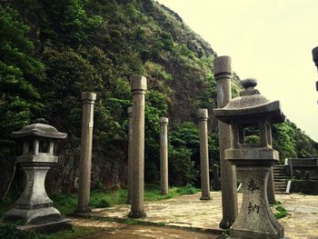 Trees in a temple