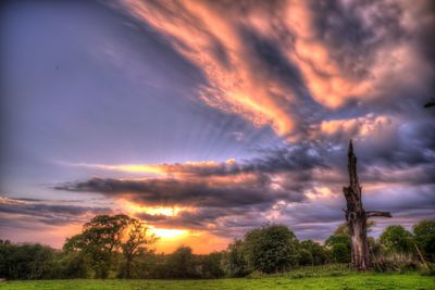 Low angle view of trees on field against dramatic sky