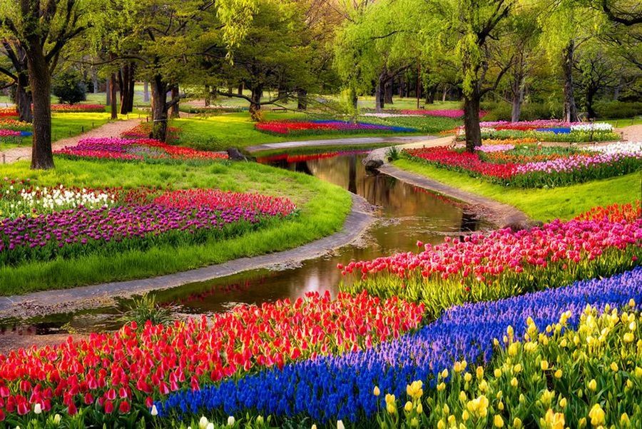 flower, freshness, growth, beauty in nature, flowerbed, tree, fragility, park - man made space, nature, blooming, abundance, plant, formal garden, blossom, tranquil scene, water, in bloom, multi colored, scenics, garden