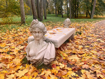 Statue of man in park during autumn