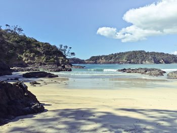 Scenic view of beach