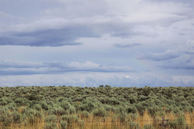 View of grassy landscape against cloudy sky