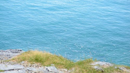 High angle view of sea shore