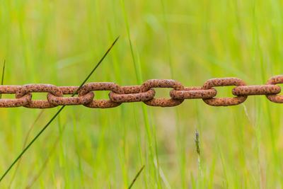 Close-up of rusty chain on grass field