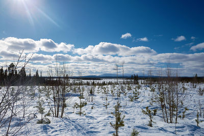 Frozen landscape against sky