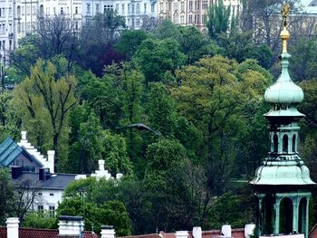 Trees in city against sky