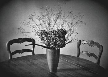 Shadow of plant in front of wall against sky