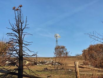 Bare trees on field against sky