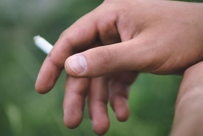 Close-up of hand holding leaf