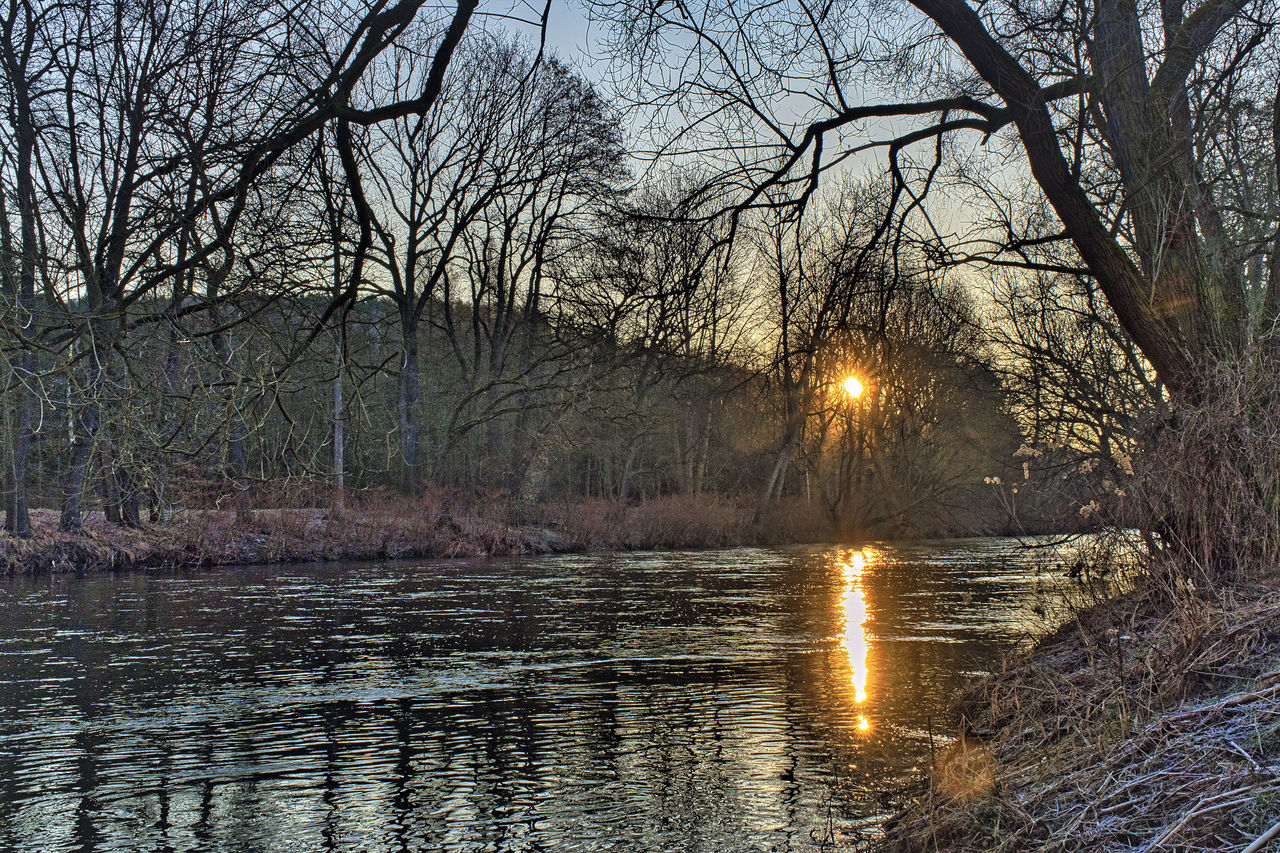 REFLECTION OF BARE TREES IN LAKE DURING SUNSET