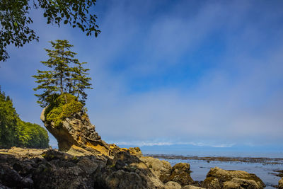 Scenic view of rocks by sea against sky