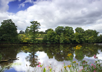 Reflection of trees in lake against sky