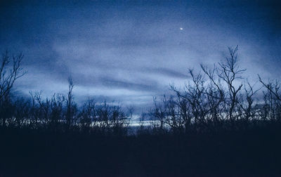 Silhouette bare trees on field against sky at night