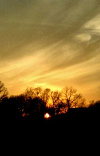 Silhouette trees against sky during sunset