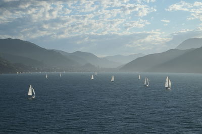 Boats sailing in sea