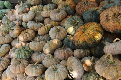 Full frame shot of pumpkins for sale at market stall