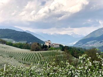 Scenic view of apple trees landscape against sky and a castle 