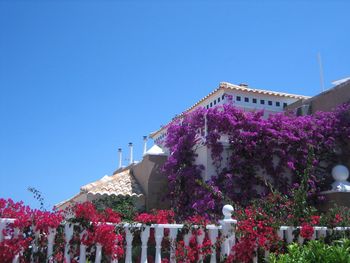 Low angle view of built structure against clear blue sky