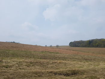 Scenic view of field against sky