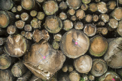 Full frame shot of logs