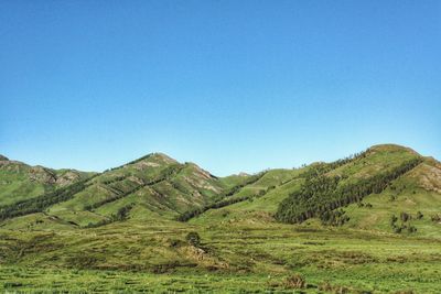 Scenic view of field against clear blue sky