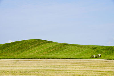 Scenic view of farm against clear sky