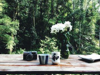 White flowers in vase on table