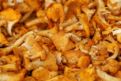 Close up yellow chanterelle edible mushrooms cantharellus cibarius at retail display