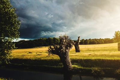 Scenic view of grassy field against cloudy sky