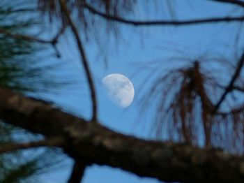 Low angle view of moon in sky