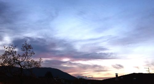 Low angle view of silhouette trees against sky