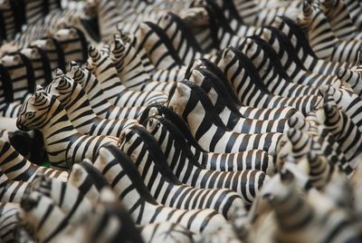 Full frame shot of zebra figurines