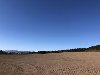 Scenic view of agricultural field against clear blue sky