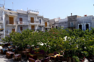 Plants growing by building against sky