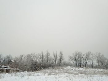 Trees on field against clear sky during winter